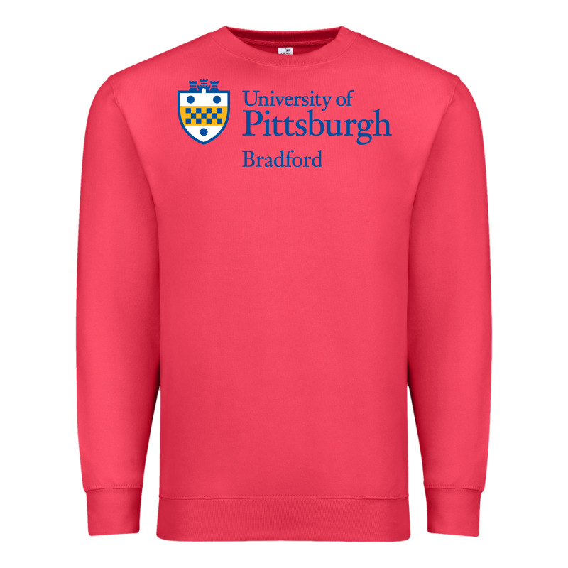University Of Pittsburgh At Bradford New Premium Sweatshirt by linhVisuals | Teevron