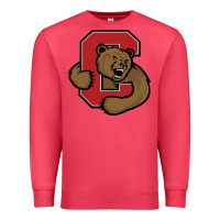 Cardinal Cornell Big Red Premium Sweatshirt - linhVisuals