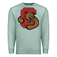 Seafoam Cornell Big Red Premium Sweatshirt - linhVisuals