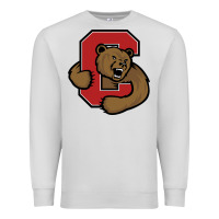 Dove Grey Cornell Big Red Premium Sweatshirt - linhVisuals