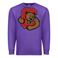 Purple Cornell Big Red Premium Sweatshirt - linhVisuals