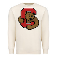 Sandshell Cornell Big Red Premium Sweatshirt - linhVisuals