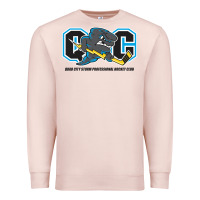 Pale Pink quad city storm Premium Sweatshirt - linhVisuals