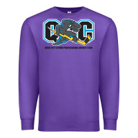 Purple quad city storm Premium Sweatshirt - linhVisuals