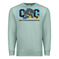 Seafoam quad city storm Premium Sweatshirt - linhVisuals