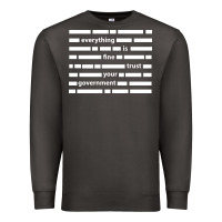 Everything Is Fine Trust Your Government Premium Sweatshirt | Teevron