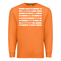 Carrot Everything is fine trust your government Premium Sweatshirt - linhVisuals