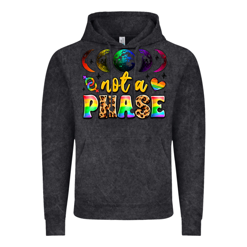 Not A Phase Pride Moon Vintage Hoodie by LillyAllenDesigns | Teevron