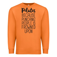 Carrot pilates because punching people is frowned upon t shirt Premium Sweatshirt - linhVisuals