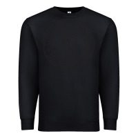 Black dickinson, college Premium Sweatshirt - linhVisuals