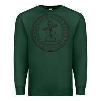 Sports Green dickinson, college Premium Sweatshirt - linhVisuals