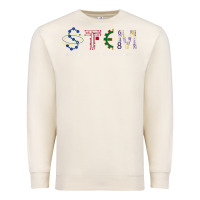 Sandshell stem science Premium Sweatshirt - linhVisuals