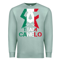 Seafoam team canelo Premium Sweatshirt - linhVisuals