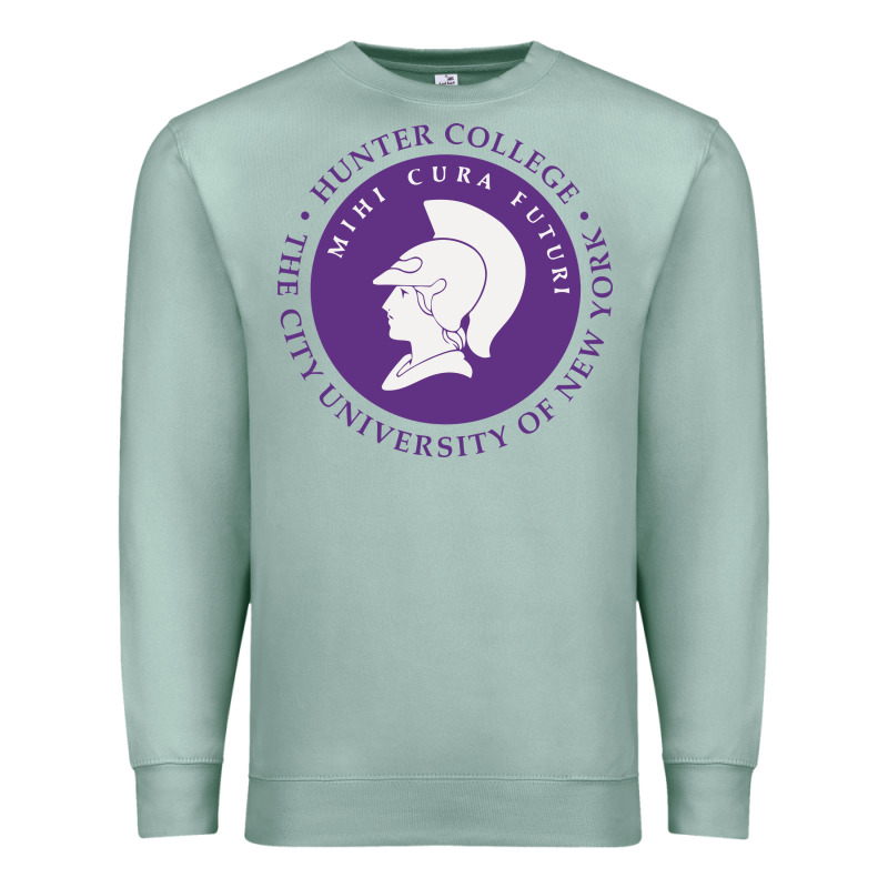 Hunter College Premium Sweatshirt by linhVisuals | Teevron