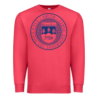 Cardinal Brandeis University Premium Sweatshirt - linhVisuals