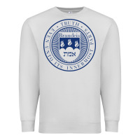 Dove Grey Brandeis University Premium Sweatshirt - linhVisuals
