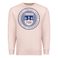 Pale Pink Brandeis University Premium Sweatshirt - linhVisuals