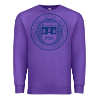 Purple Brandeis University Premium Sweatshirt - linhVisuals