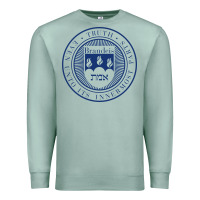 Seafoam Brandeis University Premium Sweatshirt - linhVisuals