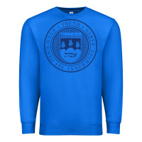 True Royal Brandeis University Premium Sweatshirt - linhVisuals