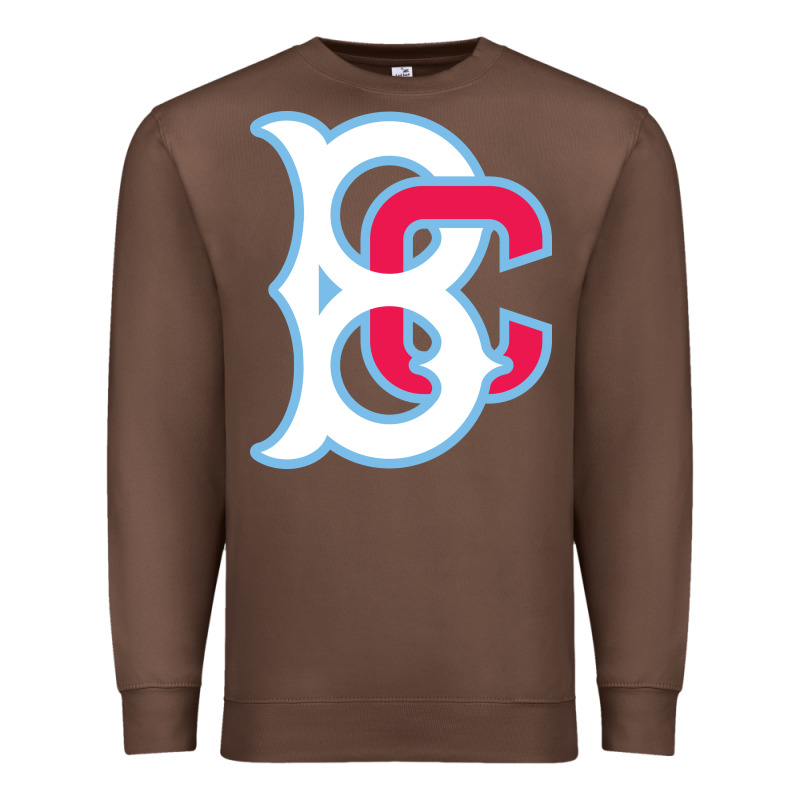 Brooklyn Premium Sweatshirt by linhVisuals | Teevron