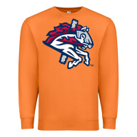 Carrot the-binghamton-rumble-ponies-pen Premium Sweatshirt - linhVisuals