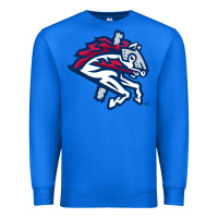 True Royal the-binghamton-rumble-ponies-pen Premium Sweatshirt - linhVisuals