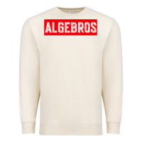 Sandshell algebros design for math students or a present to ur teacher Premium Sweatshirt - linhVisuals