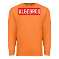 Carrot algebros design for math students or a present to ur teacher Premium Sweatshirt - linhVisuals