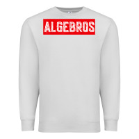Dove Grey algebros design for math students or a present to ur teacher Premium Sweatshirt - linhVisuals