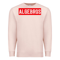 Pale Pink algebros design for math students or a present to ur teacher Premium Sweatshirt - linhVisuals