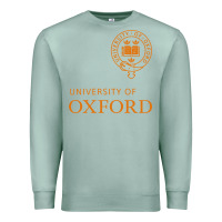 Seafoam oxford Premium Sweatshirt - linhVisuals