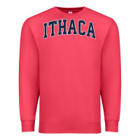 Cardinal ithaca new york ny vintage sports design navy design t shirt Premium Sweatshirt - linhVisuals