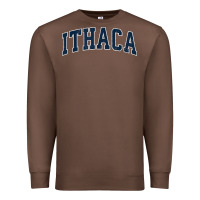 Chestnut ithaca new york ny vintage sports design navy design t shirt Premium Sweatshirt - linhVisuals