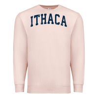 Pale Pink ithaca new york ny vintage sports design navy design t shirt Premium Sweatshirt - linhVisuals
