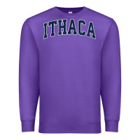 Purple ithaca new york ny vintage sports design navy design t shirt Premium Sweatshirt - linhVisuals