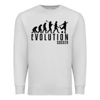 Dove Grey soccer evolution Premium Sweatshirt - linhVisuals