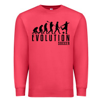 Cardinal soccer evolution Premium Sweatshirt - linhVisuals