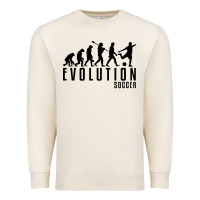 Sandshell soccer evolution Premium Sweatshirt - linhVisuals
