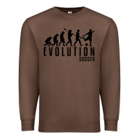 Chestnut soccer evolution Premium Sweatshirt - linhVisuals