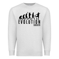 Oatmeal Heather soccer evolution Premium Sweatshirt - linhVisuals