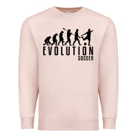 Pale Pink soccer evolution Premium Sweatshirt - linhVisuals