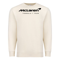 Formula 1 Team Premium Sweatshirt | Teevron