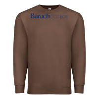 Chestnut Baruch College Premium Sweatshirt - linhVisuals