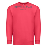 Cardinal Bryn Mawr College Premium Sweatshirt - linhVisuals