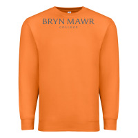 Carrot Bryn Mawr College Premium Sweatshirt - linhVisuals