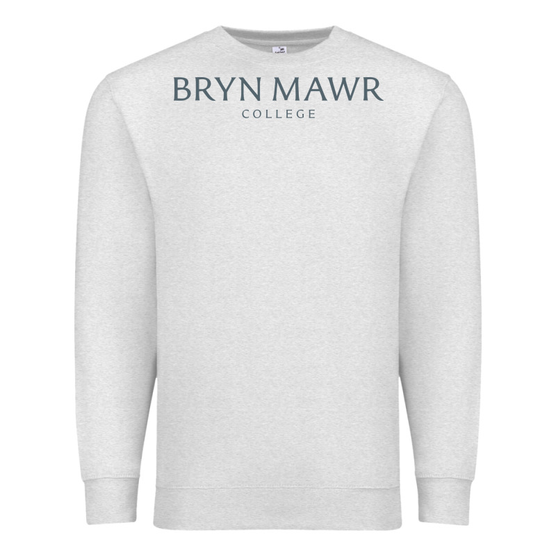 Bryn Mawr College Premium Sweatshirt by linhVisuals | Teevron