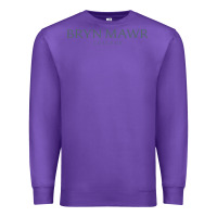 Purple Bryn Mawr College Premium Sweatshirt - linhVisuals