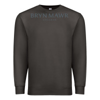 Smoke Bryn Mawr College Premium Sweatshirt - linhVisuals