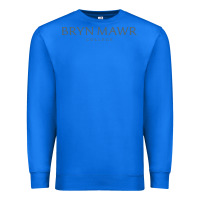True Royal Bryn Mawr College Premium Sweatshirt - linhVisuals